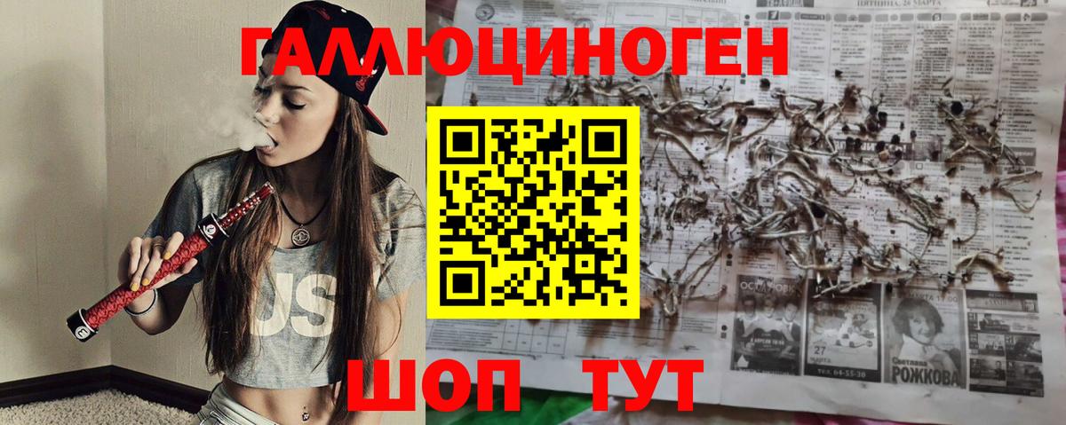 Галлюциногенные грибы мухоморы Светлоград
