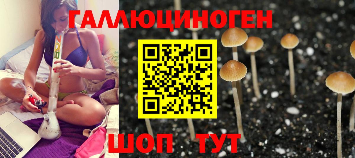 Псилоцибиновые грибы мухоморы  Галлюциногенные грибы Psilocybine cubensis  наркотики  Вход с VPN  Светлоград 
